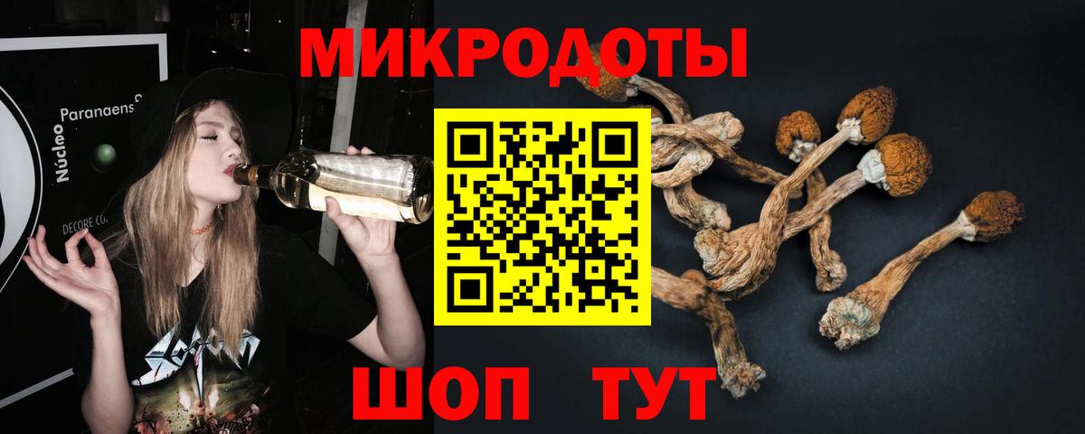 Галлюциногенные грибы Magic Shrooms Знаменск