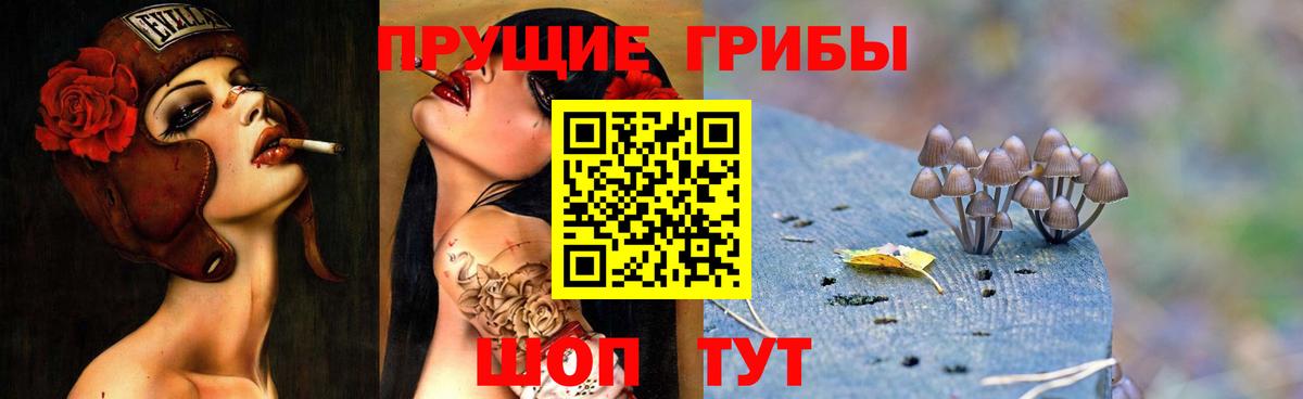 Знаменск  Галлюциногенные грибы GOLDEN TEACHER  Галлюциногенные грибы MAGIC MUSHROOMS  Вход с VPN 